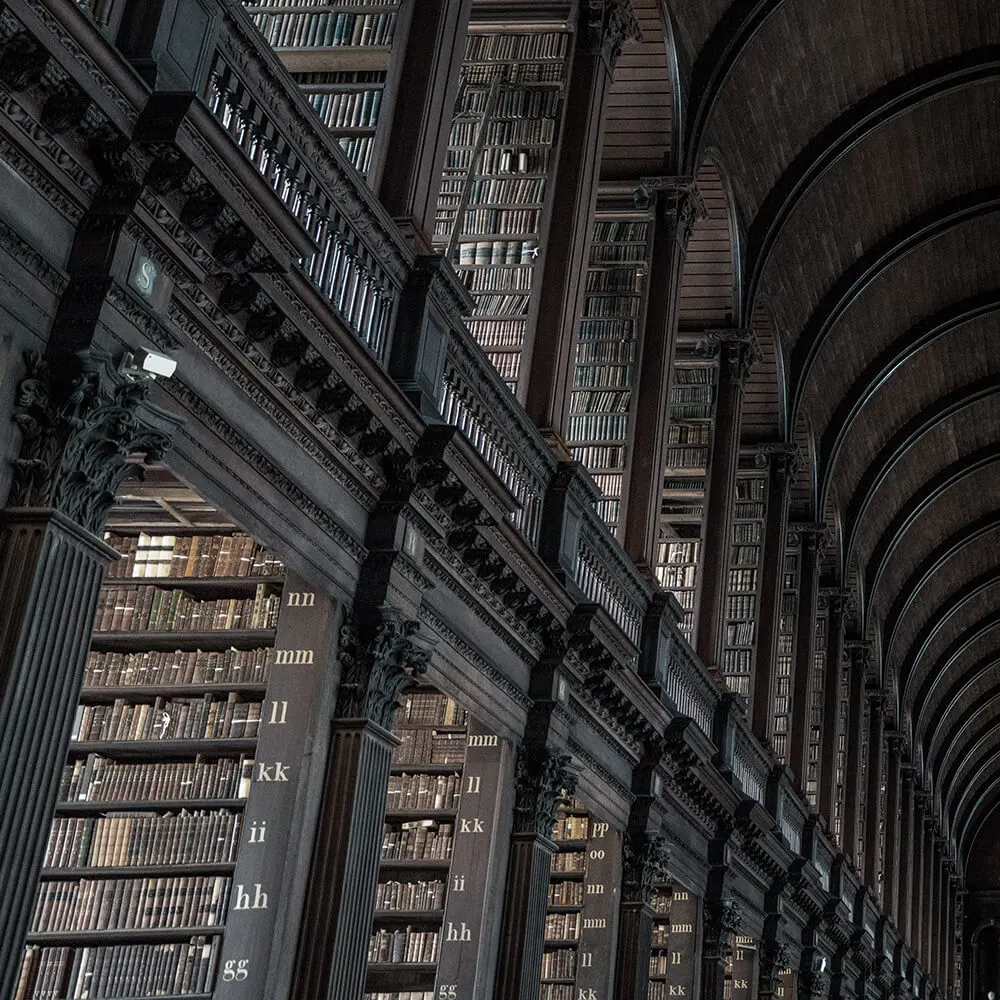 Scaffali in legno scuro di una grande biblioteca storica